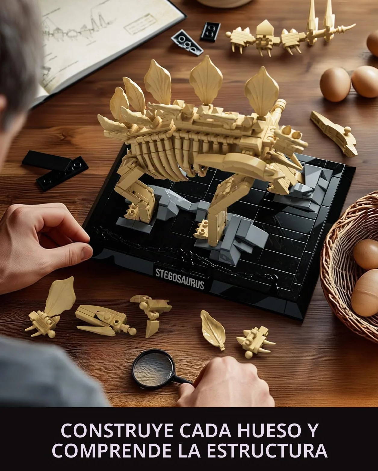 Nifeliz Fósiles de Dinosaurio Stegosaurus Decoracion Kit de Construcción, Dinosaurio de Construcción Maqueta para Hombres y Mujeres, Regalo Coleccionable para Adultos (665 Piezas, NF10353)