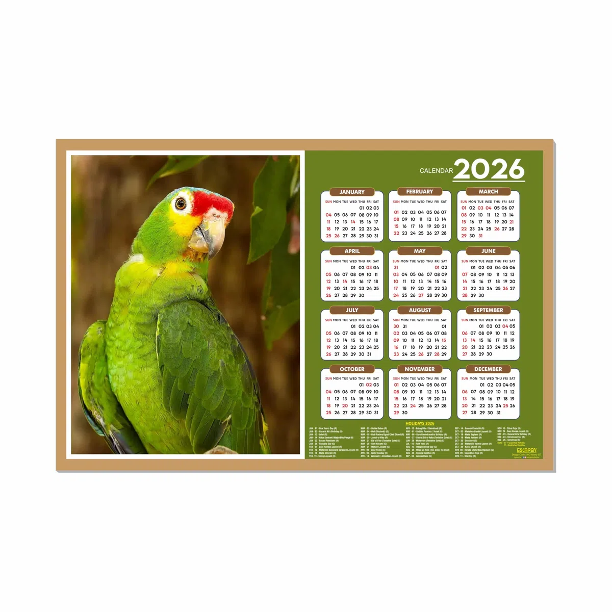 ESCAPER Calendario de pared 2026 con temática de pájaros lindos, 45 x 30 cm, loros verdes, decoración de habitación infantil, calendario colgante para el hogar y regalo