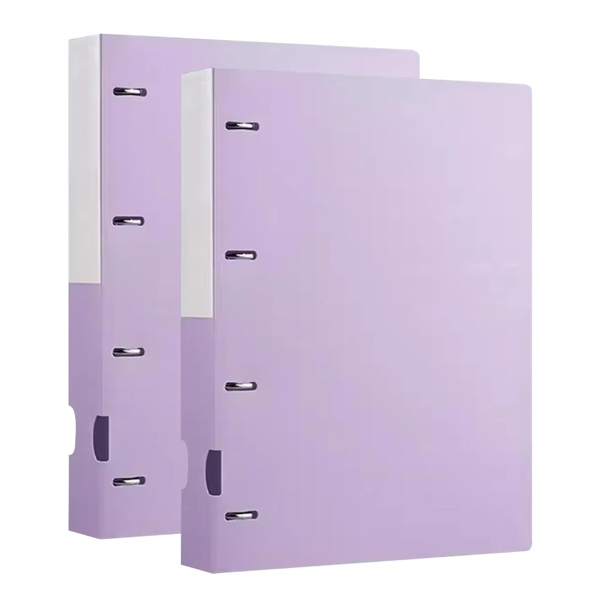 Carpetas expositoras A4 con fundas transparentes, paquete de 2, 100 hojas, multicolor(Purple)