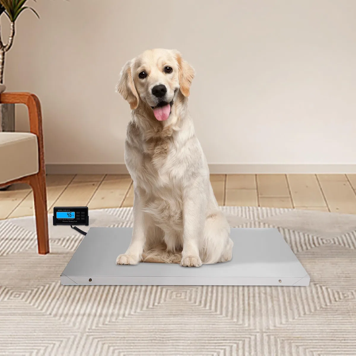 Balanzas electrónicas para mascotas, báscula para animales pequeños, báscula de alta precisión, plataforma de pesaje grande, clínica veterinaria, básculas para clínicas veterinarias, tiendas de