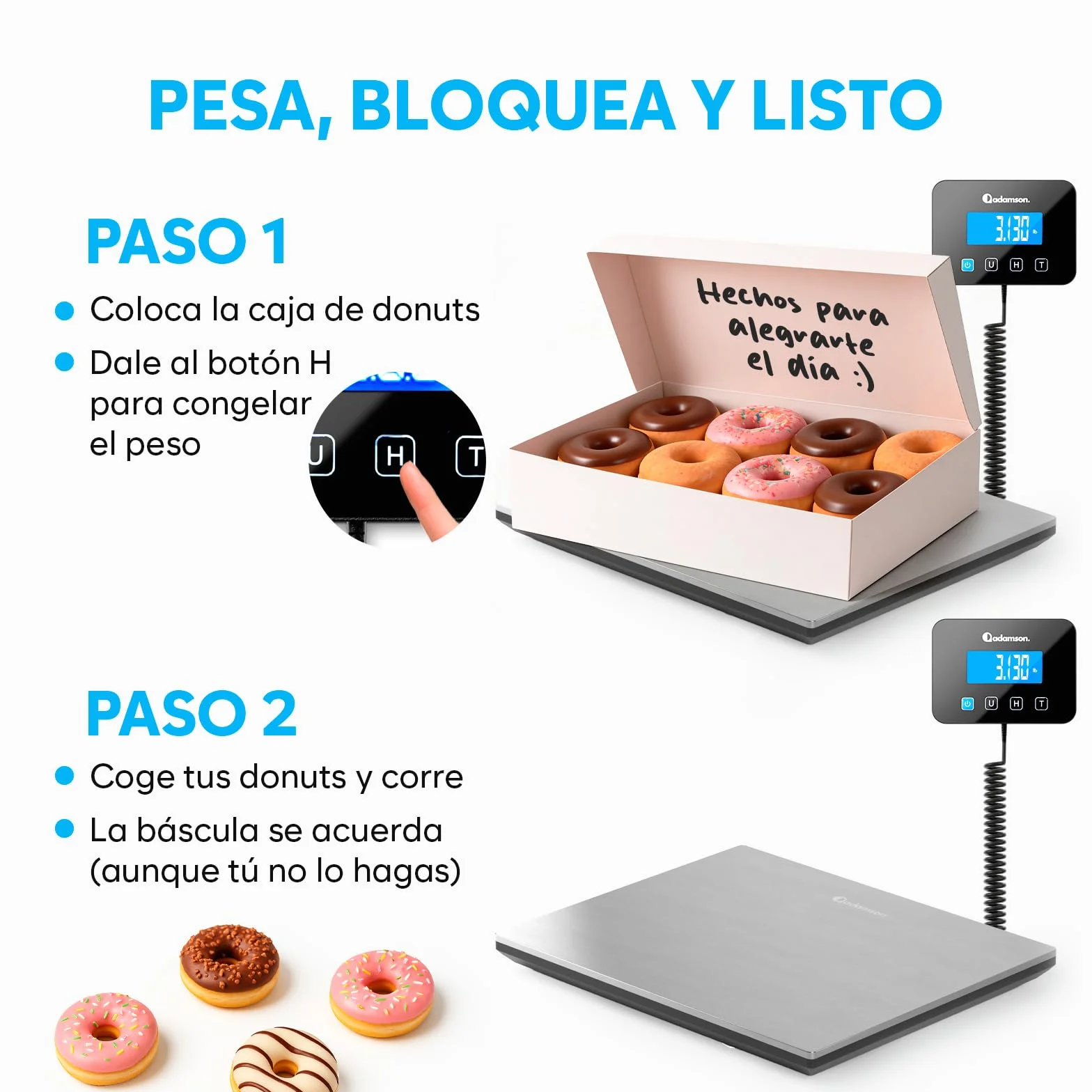 Bascula Industrial - 300 kg - Bascula Comercial de Alta precisión con Función de Retención/Tara - Perfecta para Paquetes, Equipaje, Uso Profesional - Batería y cable incluidos - Plata
