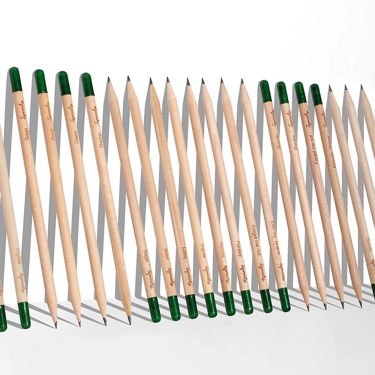 Sprout World Lápices | Bundle Edición Maestros + Original | Set de 40 Lápices de Grafito Plantables con Semillas de Flores, Hierbas y Vegetales | Madera Ecológica | Regalo Sostenible para Profesores