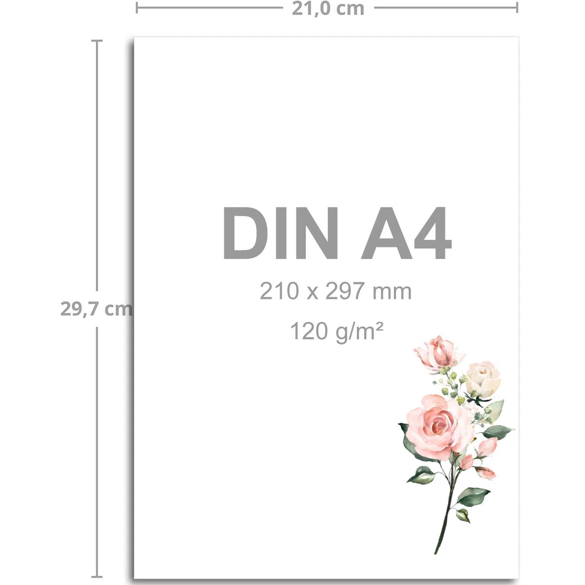 250 juegos de cartas DIN A4 - papel natural en crema con ramas de rosa - con sobres DIN largo en papelería rosa antiguo imprimible, ideal para invitaciones de boda
