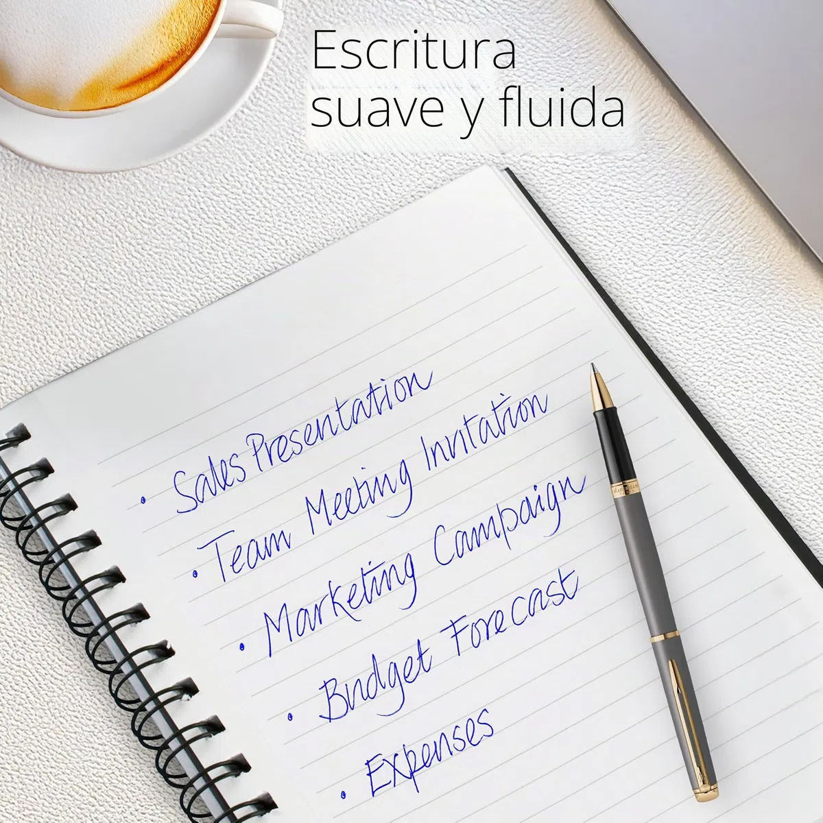 Waterman Hémisphère Pluma estilográfica | La Edición Discreta | Gris piedra | plumín mediano de acero inoxidable | estuche de regalo
