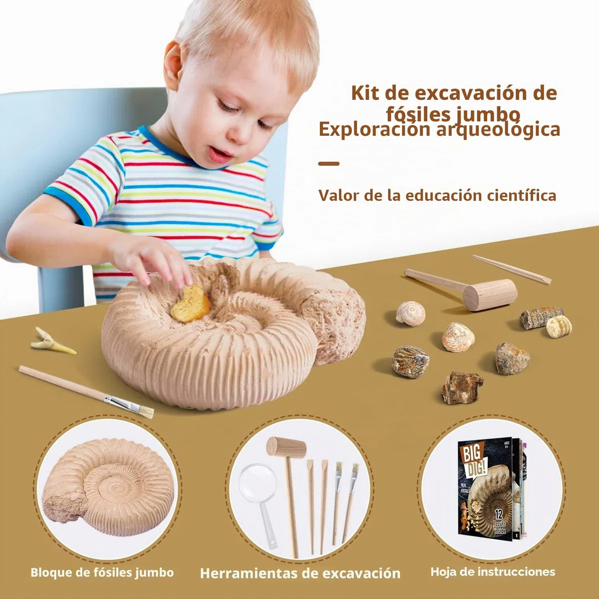 Byncceh Kit de Excavación de Fósiles para Niños – Descubre 12 Fósiles Auténticos en 1 Gran Bloque de Yeso | Juego Educativo Stem para Niños de 6 a 12 Años Pequeños Exploradores