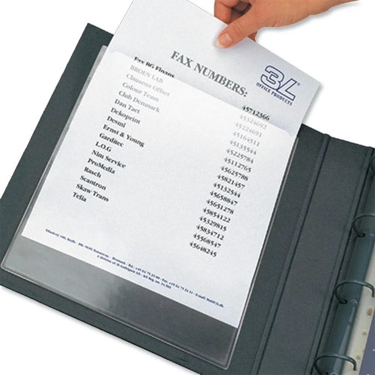 3L 10093 - Fundas transparentes adhesivas (A4, polipropileno, 50 unidades)