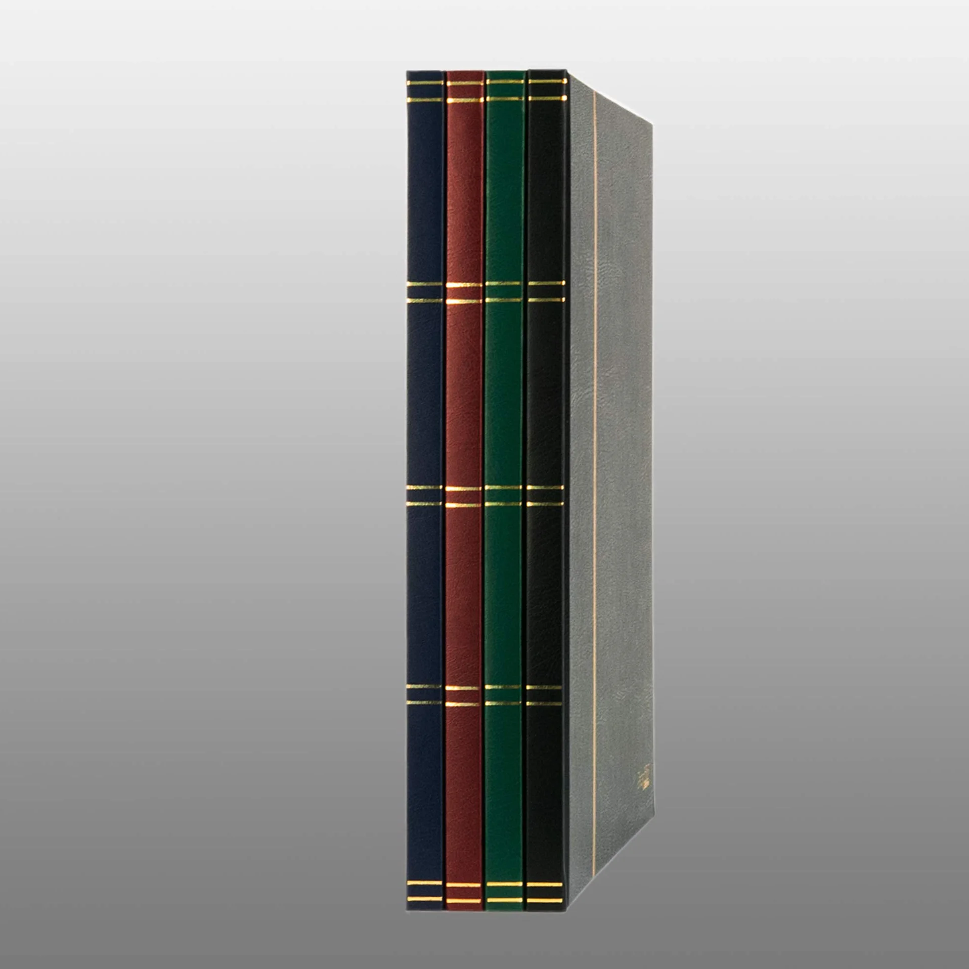 Clasificador de 16 paginas negro, color negro