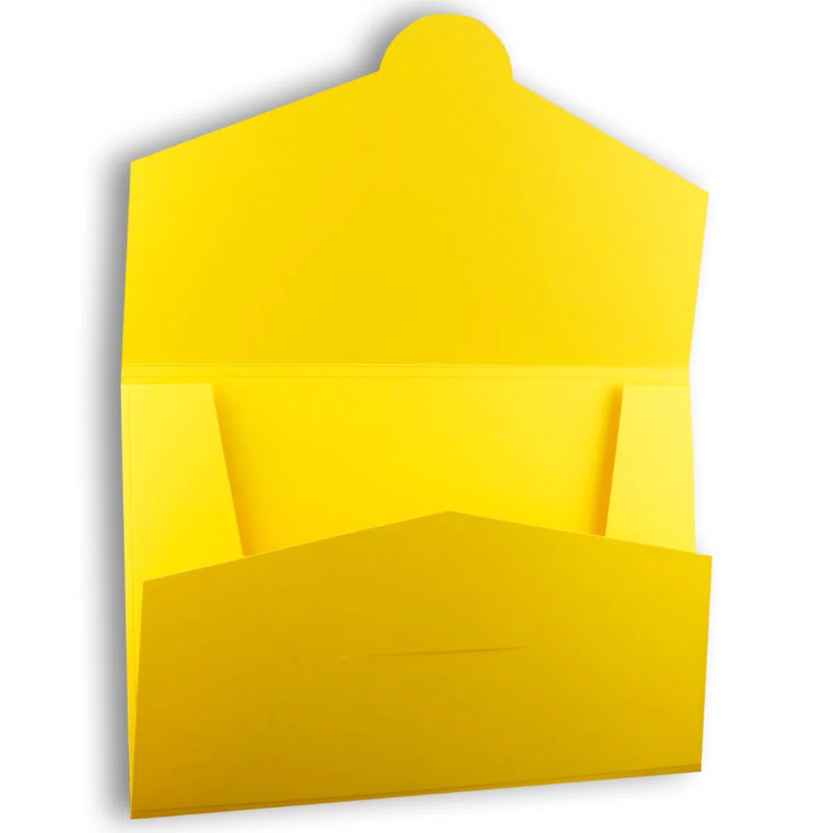 40 carpetas de papel estables para DIN A4 y DIN C4 en color amarillo miel – 22 x 30,5 cm – 240 g/m² – adecuado como carpeta de presentación, carpeta de solicitudes y proyectos