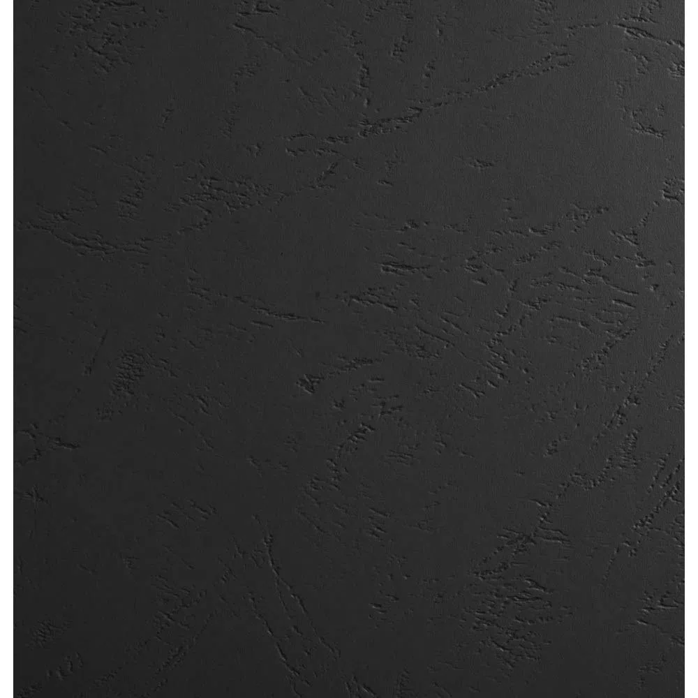 Exacompta Lote de 100 cubiertas/cartulinas de dossiers, Negro, A4