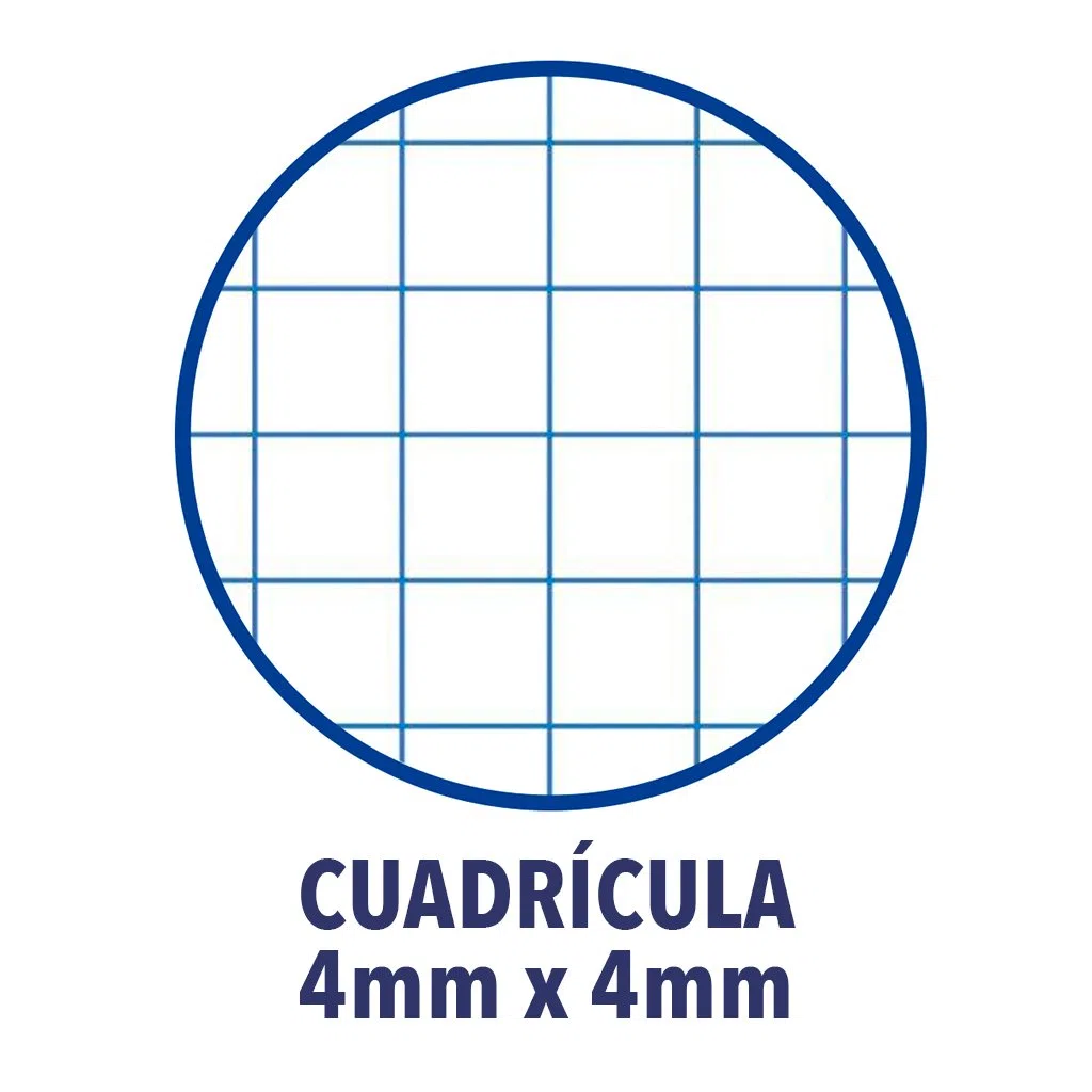 Oxford, Cuadernos A5, cuadrícula 4 x 4, tapa dura, 80 hojas, pack de 5 libretas, colores surtidos