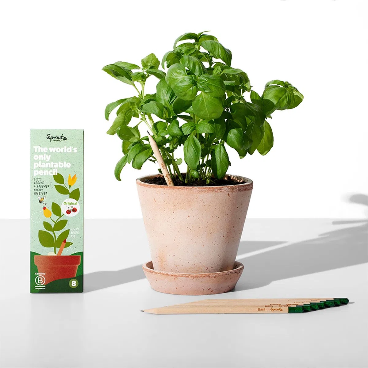 Sprout World Lápices | Bundle Edición Maestros + Original | Set de 40 Lápices de Grafito Plantables con Semillas de Flores, Hierbas y Vegetales | Madera Ecológica | Regalo Sostenible para Profesores