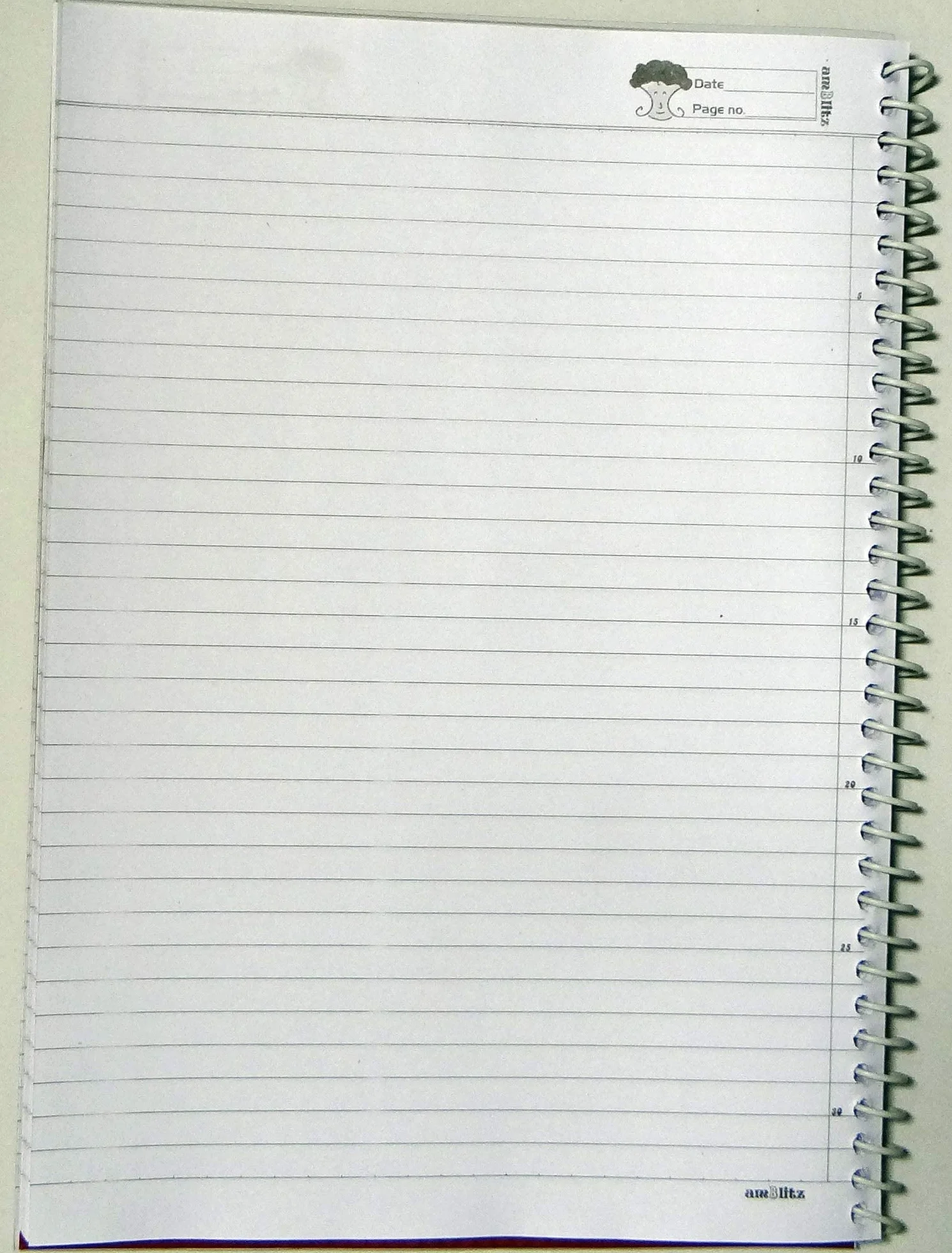 amblitz Cuaderno en espiral | rayado | 200 páginas | Paquete de 2 | Tamaño A4 | Papel grueso de 70 g/m² | Combo de cuadernos en espiral |