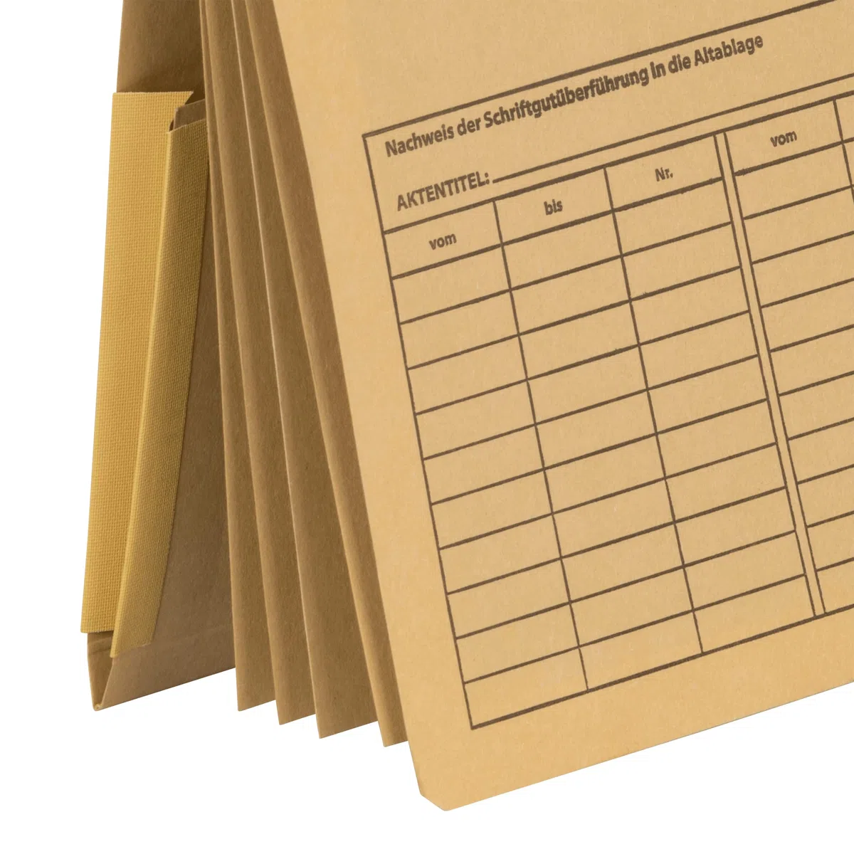 Elba 10 carpetas de cartón para tarjetas de crédito A4, 4 coches, color marrón