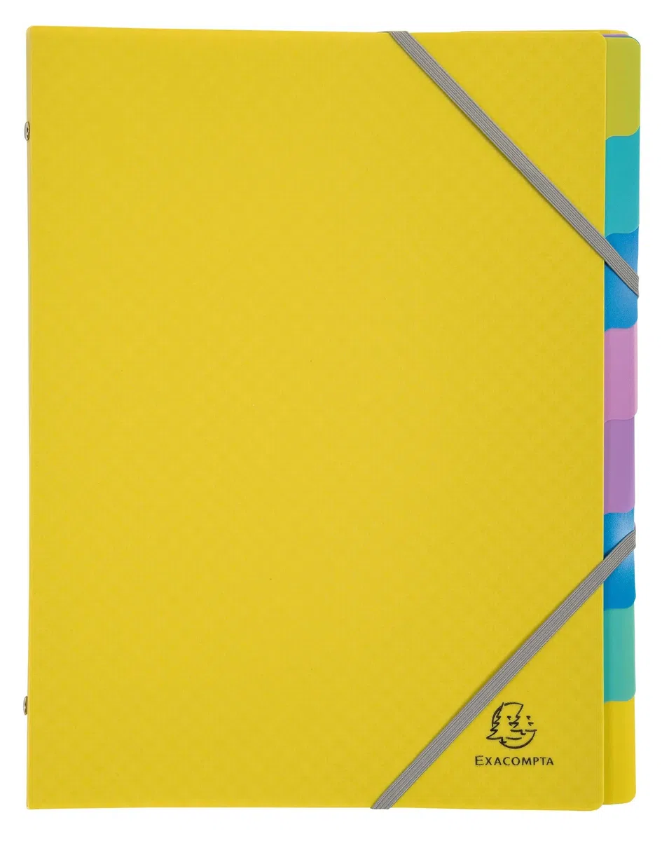 Exacompta 56190E Forever Young - Caja de 8 clasificadores, 3 solapas con gomas - cubierta e interior de polipropileno reciclado - 8 compartimentos - Dim 25 x 32 cm - para tamaño A4 - surtidos