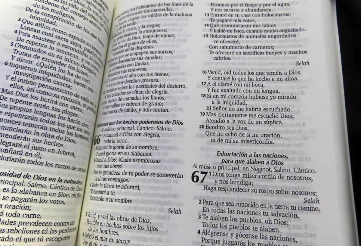 Genérico Reina Valera Biblia RV 1960 Piel Sintética con Cremallera | Letra Legible | Compacta y Fácil de Transportar