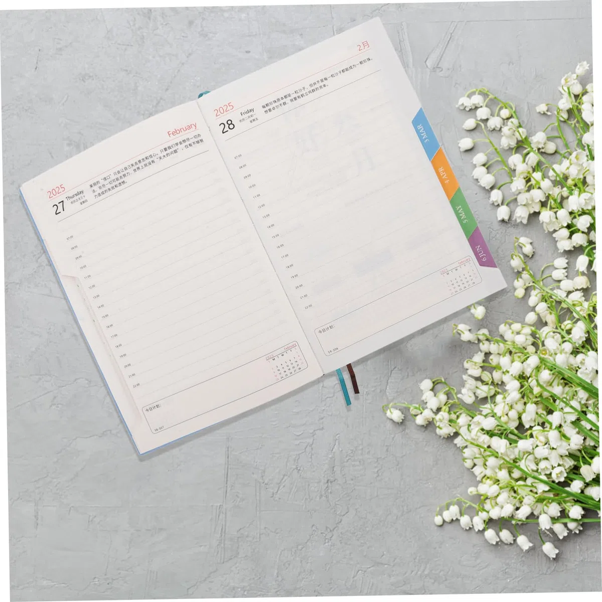 Agenda Diaria 3 Piezas Pu Papel para Gestión Estudio | Cuaderno Planificador 2025 con Calendario Anual, Agenda Fechada de Enero a Diciembre, Decoracion Colegio