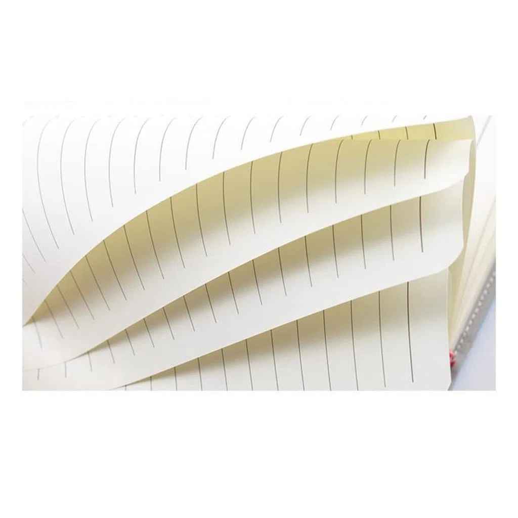 Cuadernos Planificador Contraseña Agenda Papelería Diario con Bloqueo Cuaderno para Material Escolar Oficina (Argento Talla ?nica)