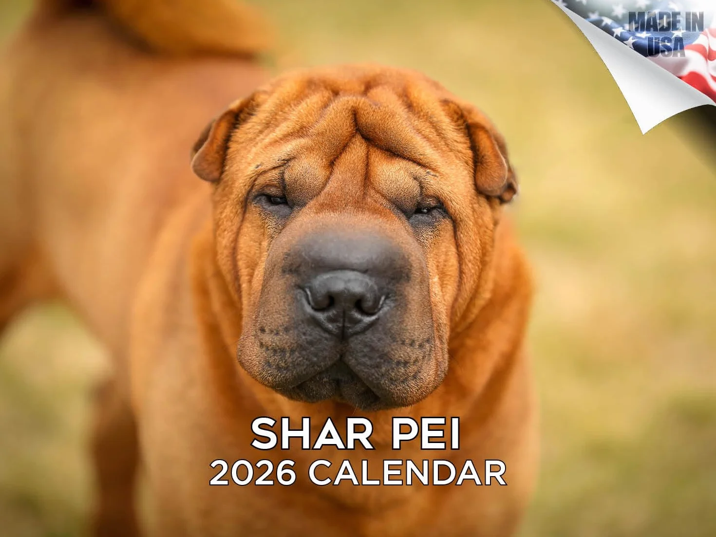 Calendario 2024 2025 Shar Pei – Calendario mensual de pared de raza de perro – 12 x 18 pulgadas abierto – Papel grueso que no se corre – Regalo – Calendario académico para profesores, calendario de