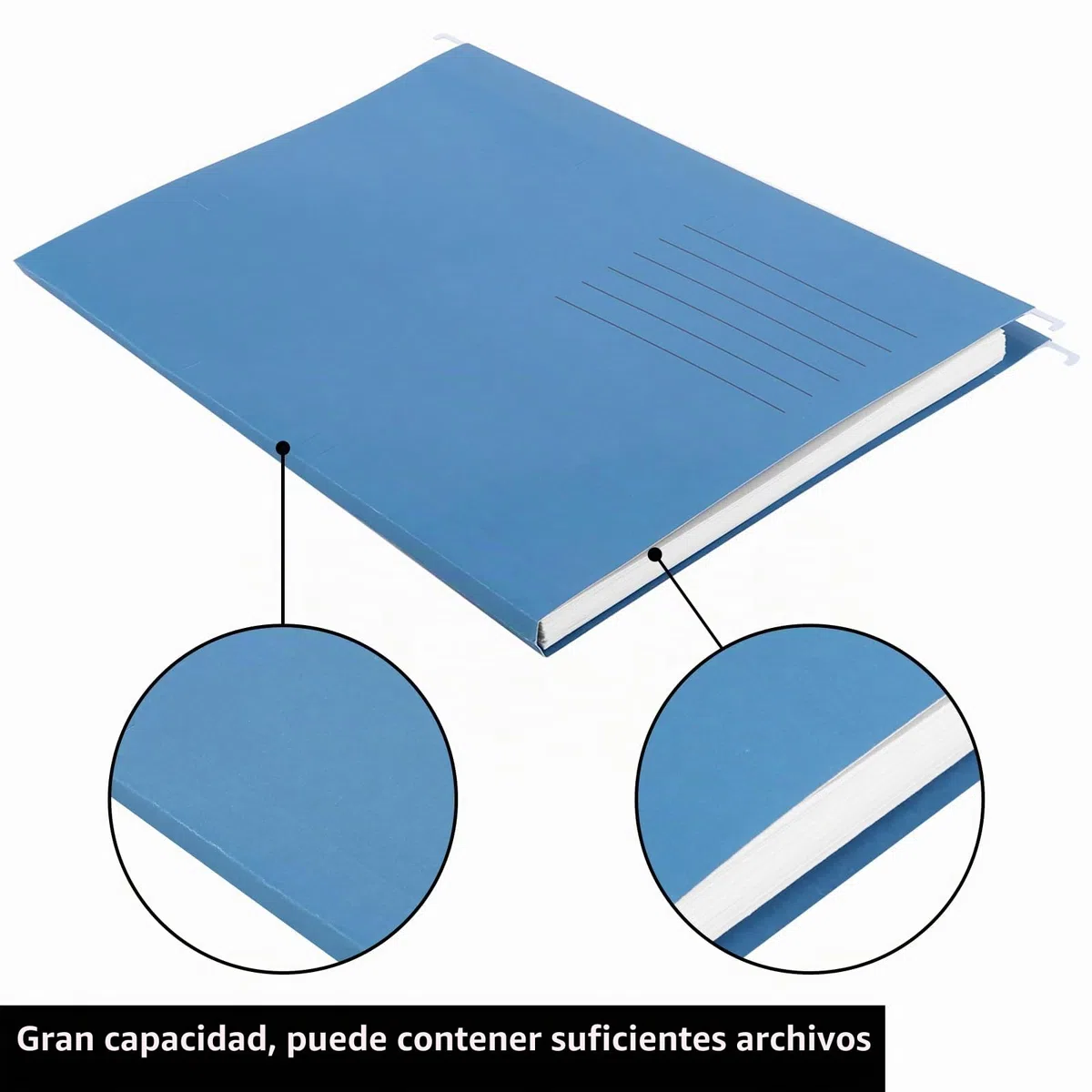 25 piezas carpetas colgantes A4, 5 colores carpetas colgantes a4 plastico, carpeta colgante plastico con pestañas y soportes para tarjetas para la escuela, el hogar, Oficina