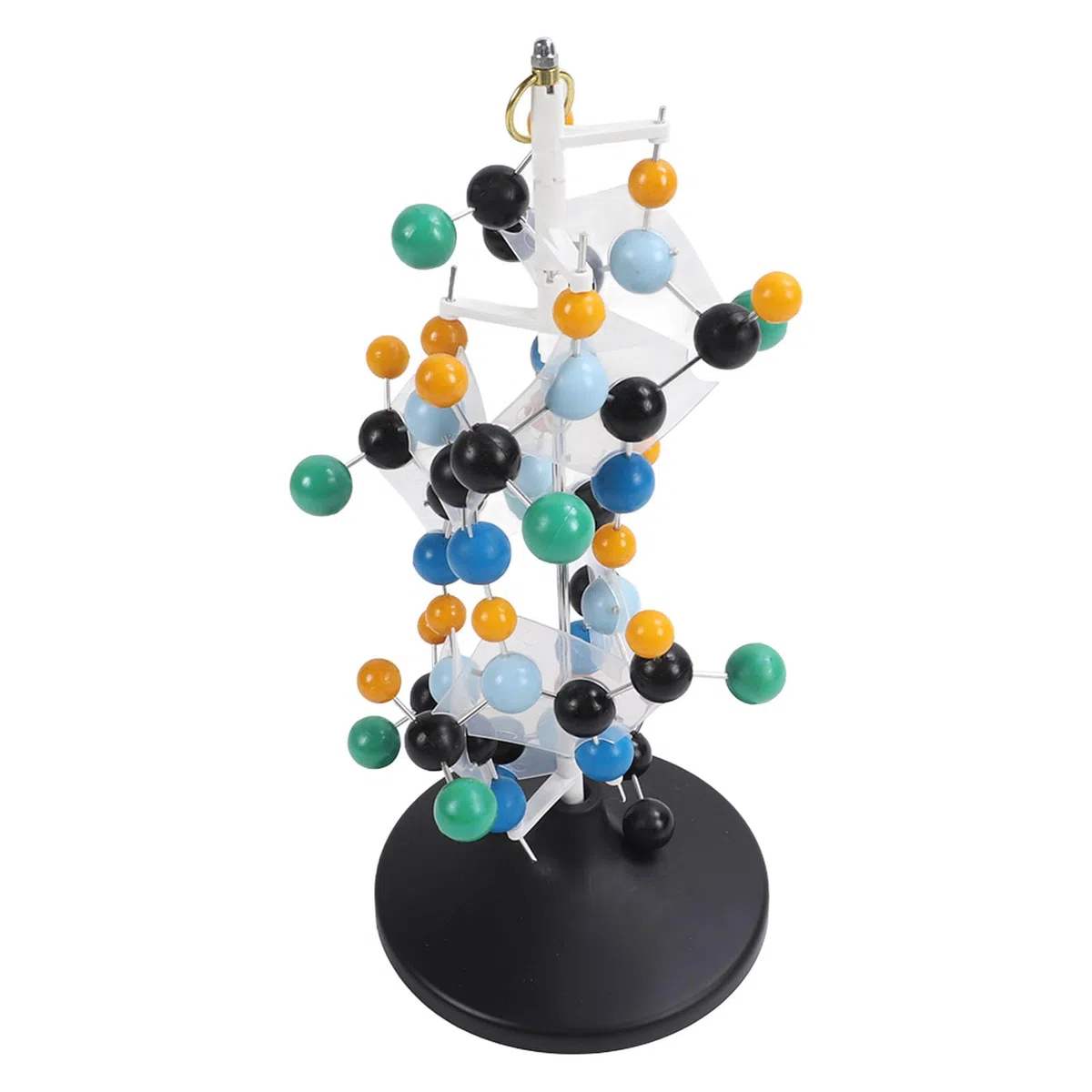 Equipo de Modelo Molecular de Proteína, Plástico Escolar para Profesores, Profesores, Profesores, Profesores, Animales Modelo