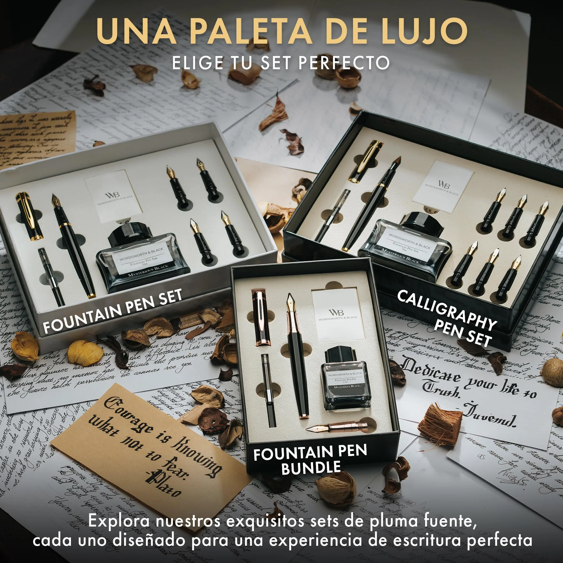 Wordsworth & Black Juego de pluma estilográfica, plumines medio y extrafino chapados en oro de 18K,botella negra de 25ML,6 cartuchos de tinta,convertidor de recarga,escritura suave [Negro y Oro Rosa]