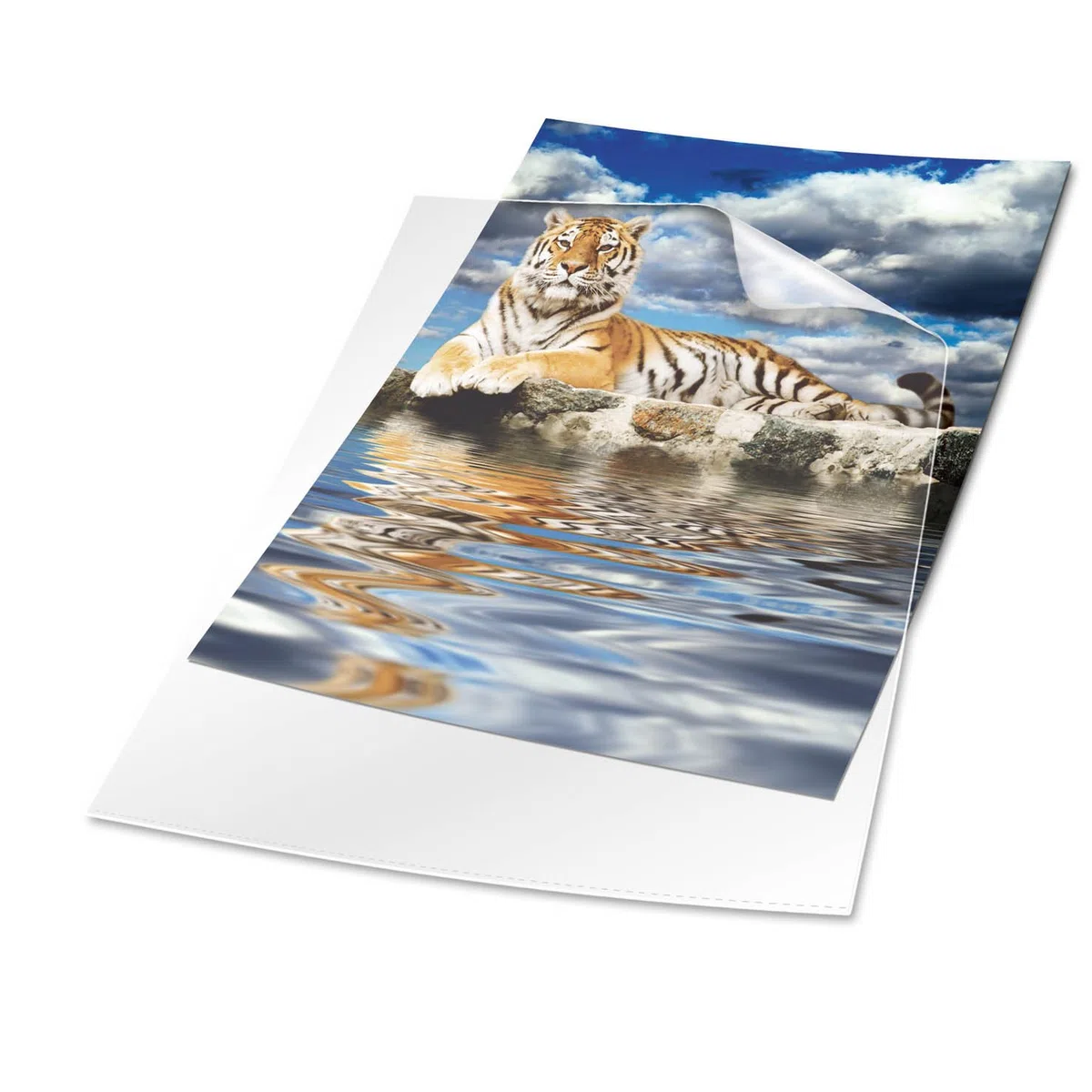 Durable 219619 Sobre transparente A4 Premium, papel duro, bolsa con 10 piezas