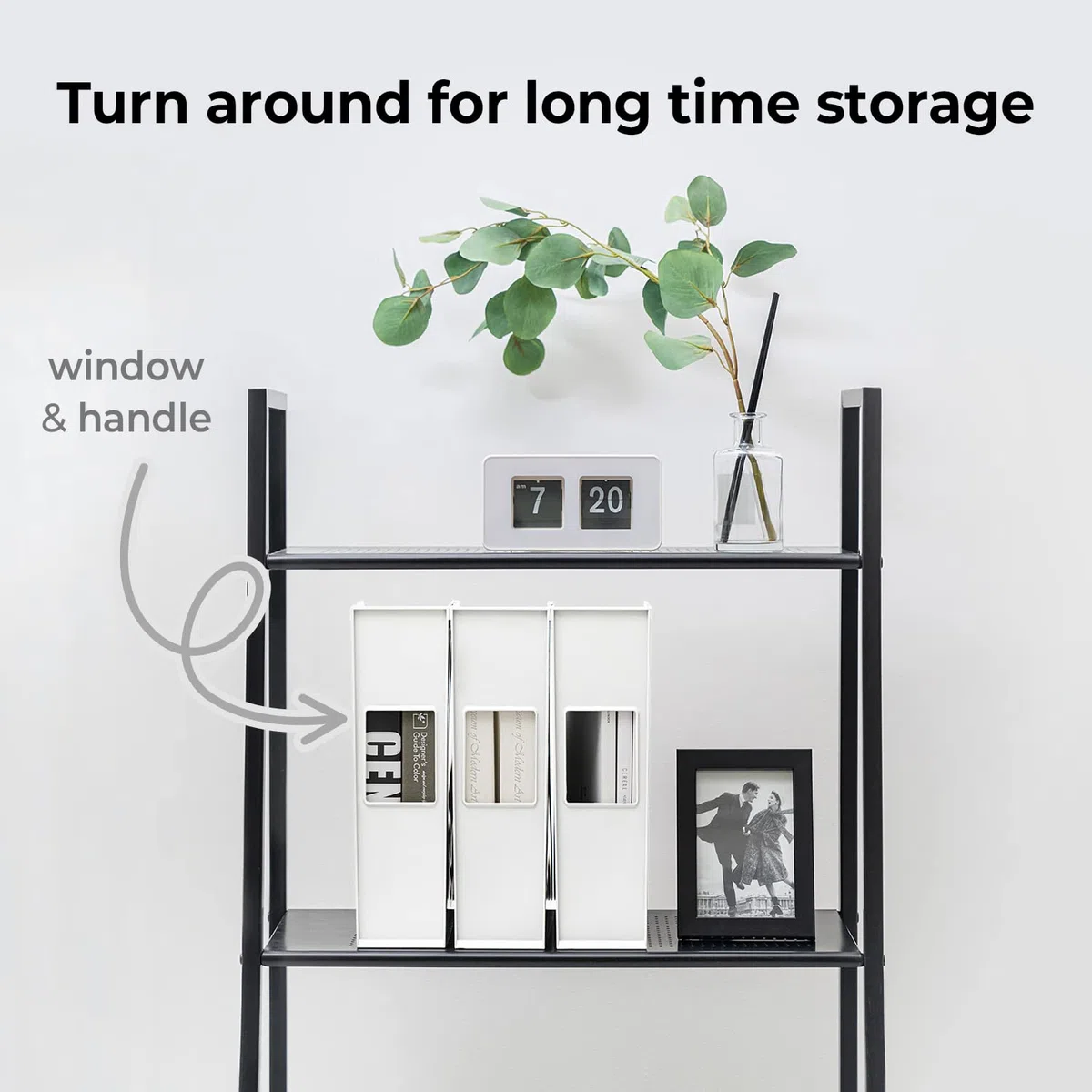 carrotez Office Rack/Display