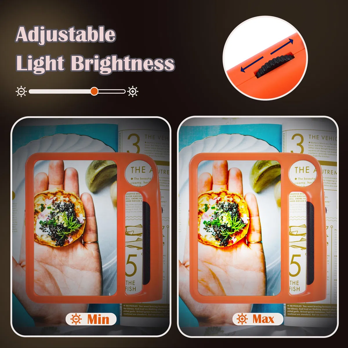 Lupa de página completa de 5 x 10 aumentos para leer, recargable con 48 luces LED ajustables y 3 modos de luz, agarre cómodo y lupa de mano ligera para personas mayores, ayuda de lectura, baja