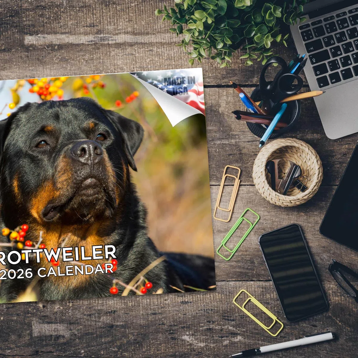Rottweiler Calendario 2024 2025 – Calendario mensual de pared de raza de perro – 12 x 18 pulgadas abierto – Papel grueso que no se corre – Regalo – Calendario académico para profesores, organización y