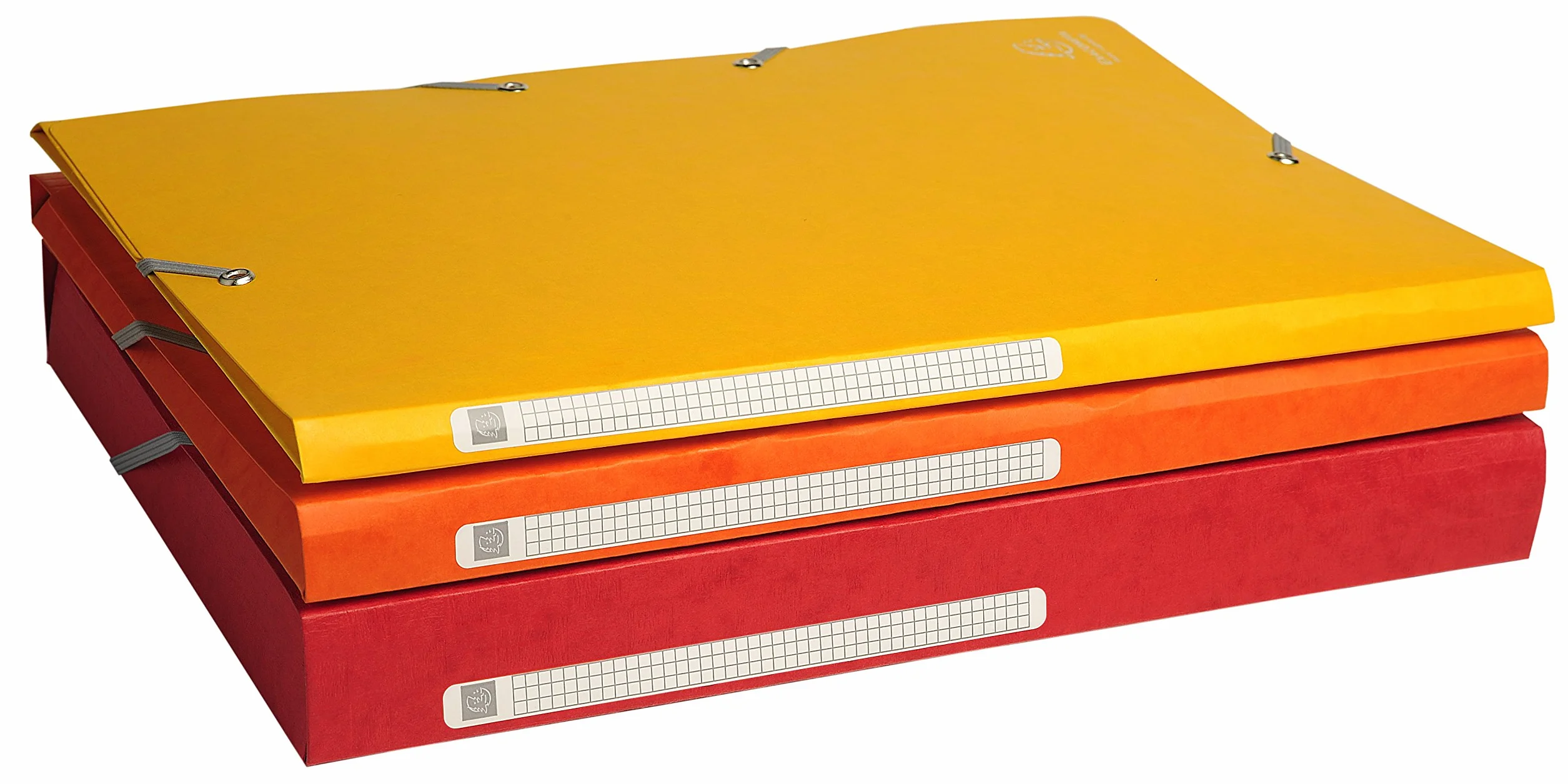 Exacompta 17108H - Carpeta con goma, A4, Rosa