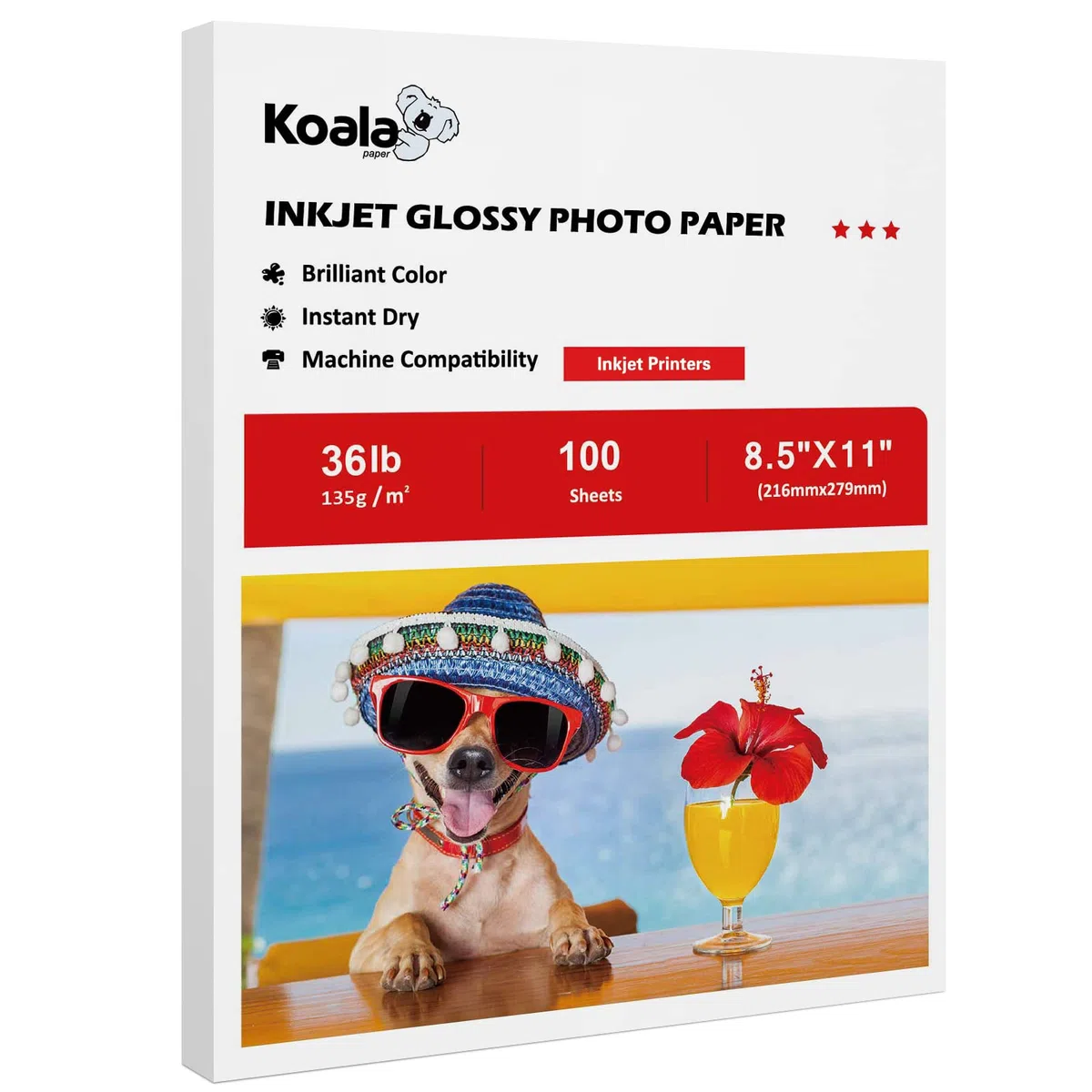 Koala - Papel de impresora de inyección de tinta fino brillante para bolsa de chips y folleto de impresión, 8.5 x 11 pulgadas, 100 hojas, 36 libras para impresoras de inyección de tinta, uso de tinta