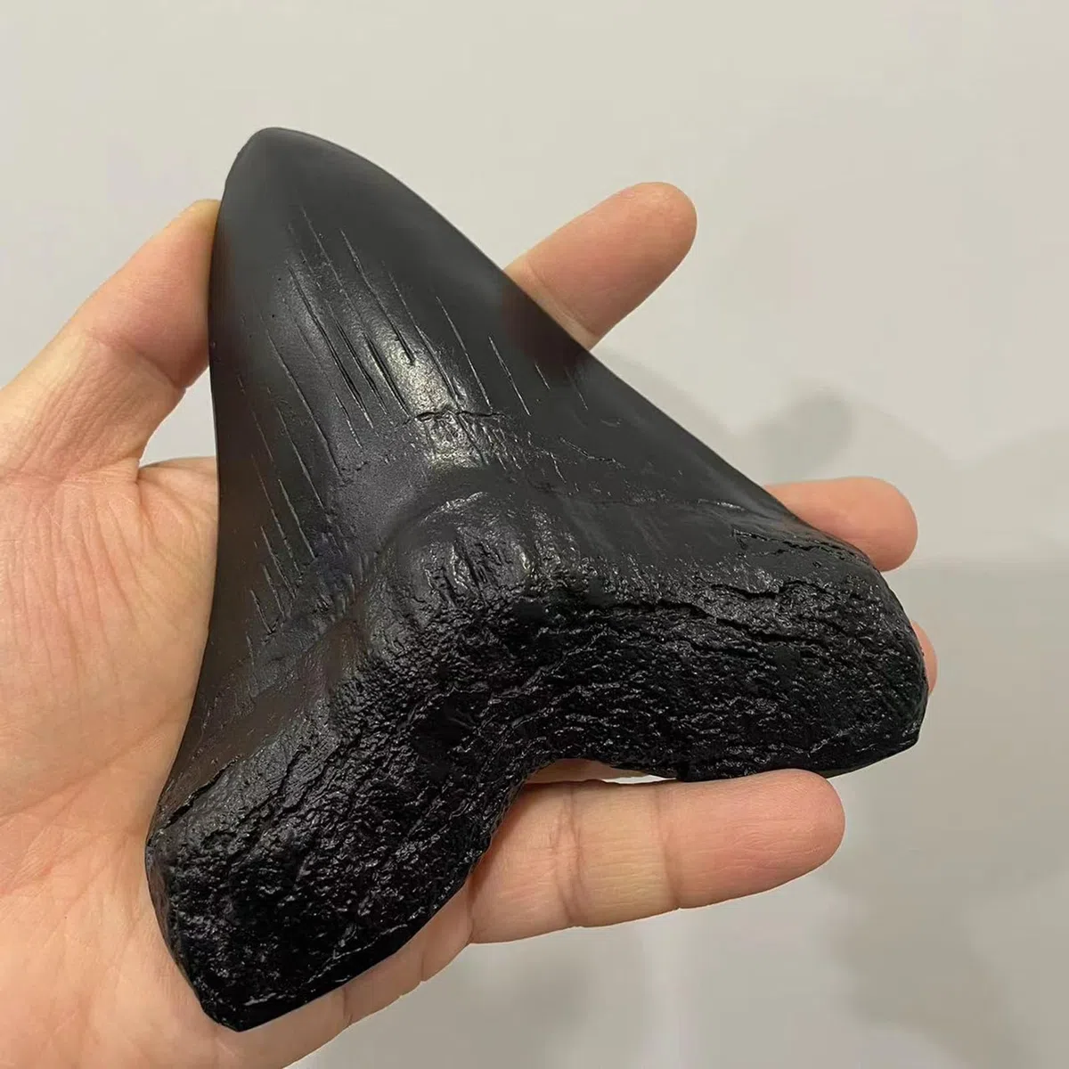 Modelo de Diente de tiburón de Resina Megalodon - Modelo fósil paleontológico - para decoración de Oficina de Adorno de Tienda de Mesa