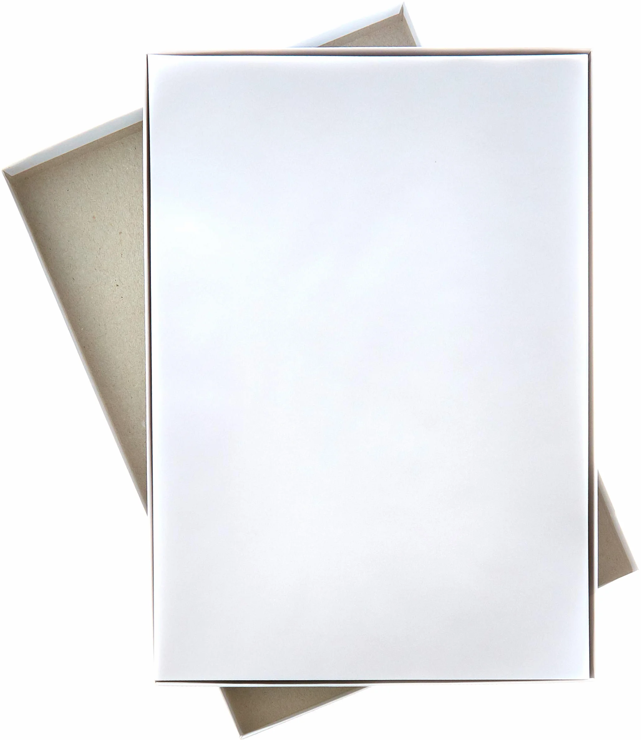 CANSON, Papeles técnicos, Suave, 110 gsm, Hoja, A4-21 x 29,7 cm, Transparente, 100 hojas