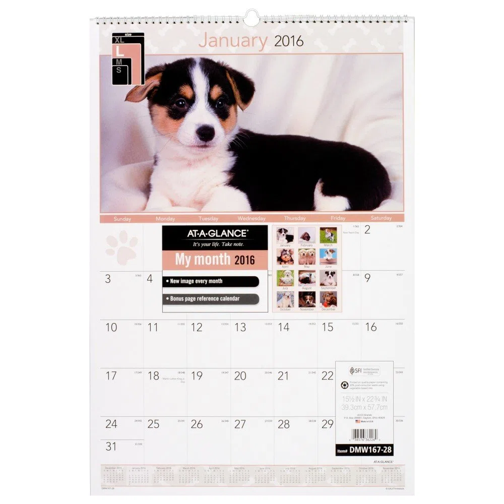 AT-A-GLANCE calendario de pared mensual 2016, cachorros, 15 – 1/2 x 22 – 3/4 pulgadas (dmw167 – 28) by de un vistazo