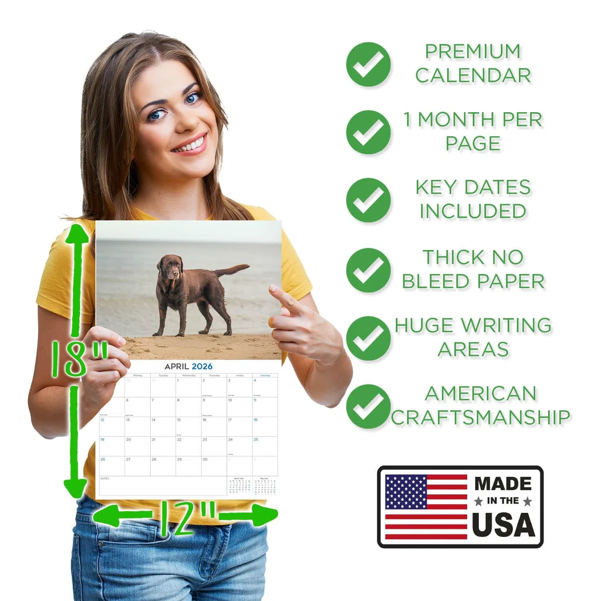 Calendario 2024 2025 de chocolate labrador – Calendario mensual de pared de raza de perro – 12 x 18 pulgadas abierto – Papel grueso que no se corre – Regalo – Calendario académico para profesores