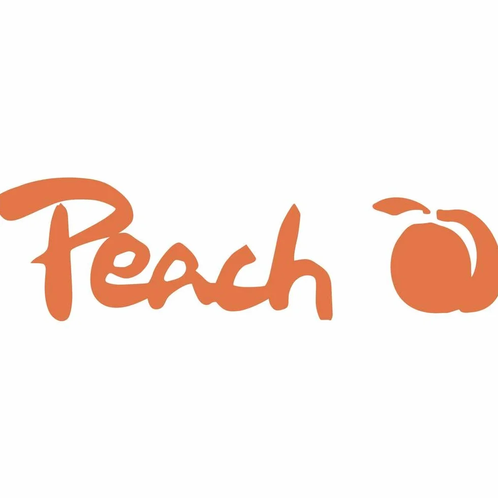 Peach PS500 – 10 Microcorte maletín vernichter| 5 hojas, 11 litros, 4 x 26 mm tamaño de las partículas (P de 4), papel, grapas y tarjetas de crédito