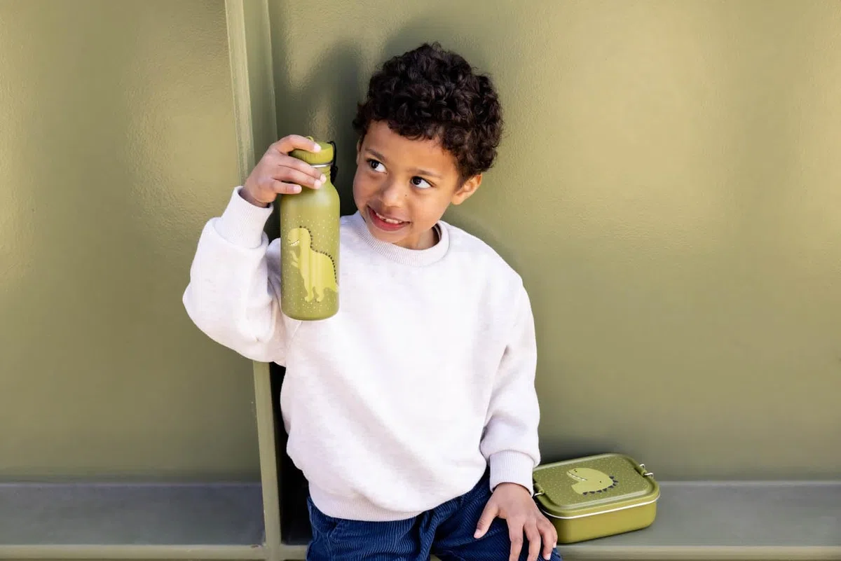 Trixie - Botella de beber para niños de acero inoxidable 500ml - Mr. Dino (Dinosaurio)