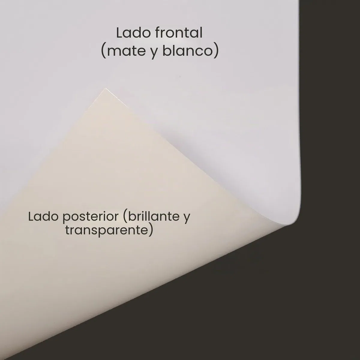 RTL50E- Lite Film Hojas de película retroiluminadas translúcidas de 150 g para impresoras láser o de inyección de tinta Hojas de papel retroiluminadas para soportes de carteles LED (A4 x 50 hojas)