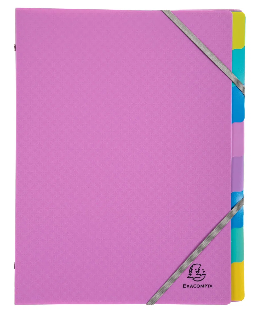 Exacompta 56190E Forever Young - Caja de 8 clasificadores, 3 solapas con gomas - cubierta e interior de polipropileno reciclado - 8 compartimentos - Dim 25 x 32 cm - para tamaño A4 - surtidos