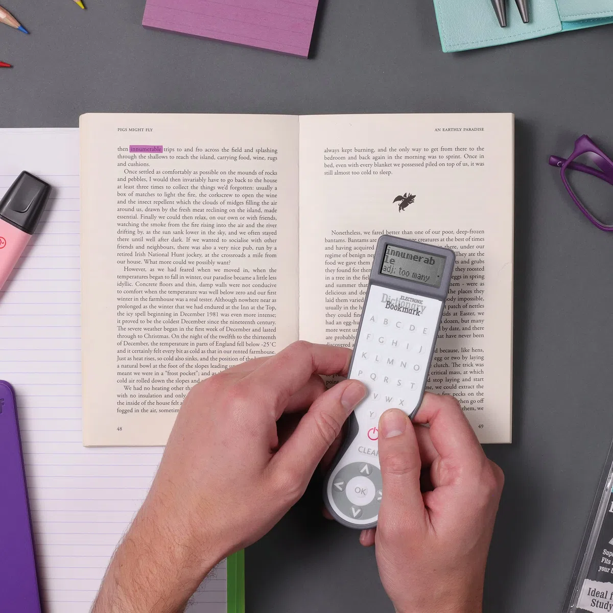 IF Electronic Dictionary Bookmark Single Language Definitions - English, Pink
