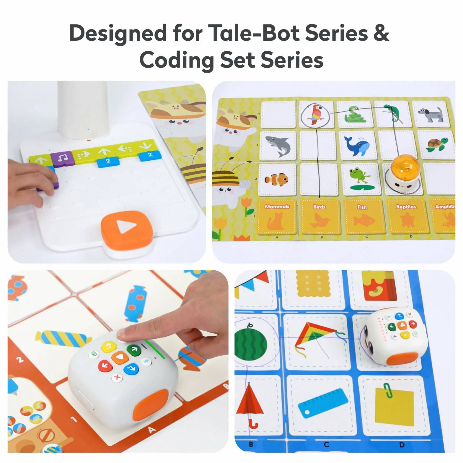 Mapa de Exploración para Tale BOT Pro y Coding Set Ciencia, Matemáticas y Estudios Sociales Set de Ciencias para Que los Niños Aprendan