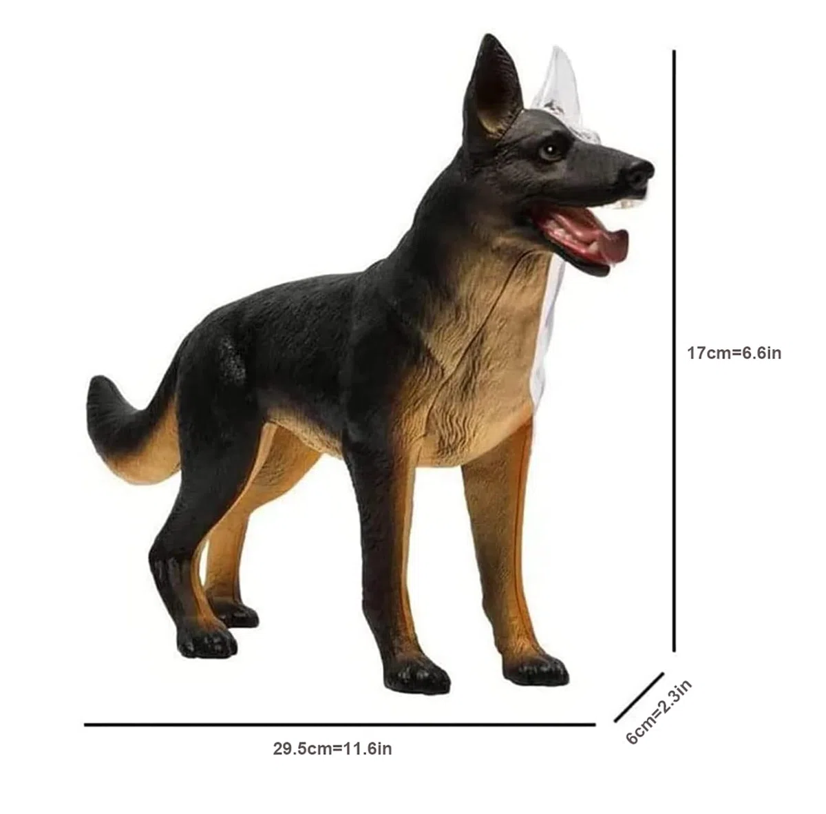4D Anatomía del Perro Modelo, Esqueleto Canino Desmontable 29 Partes para Enseñanza