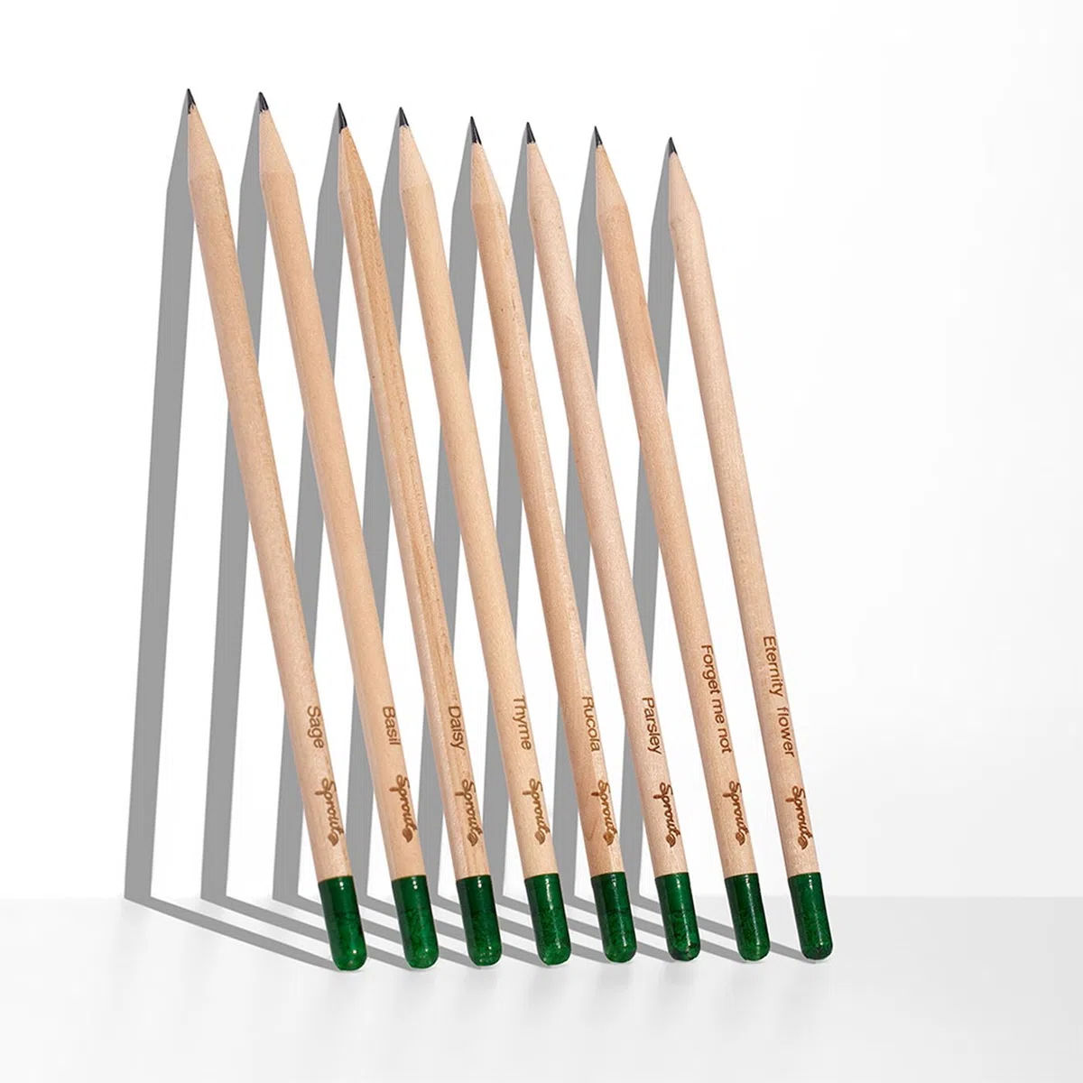 Sprout World Lápices | Bundle Edición Maestros + Original | Set de 40 Lápices de Grafito Plantables con Semillas de Flores, Hierbas y Vegetales | Madera Ecológica | Regalo Sostenible para Profesores