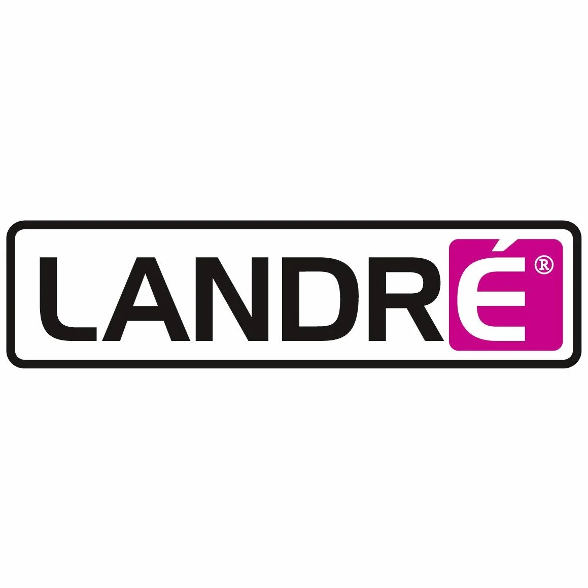 Landre 100050588 - Blocs para rotafolio, fabricada en material reciclado, 65 x 98 cm, 20 hojas en blanco, 80 g/m², 5 unidades