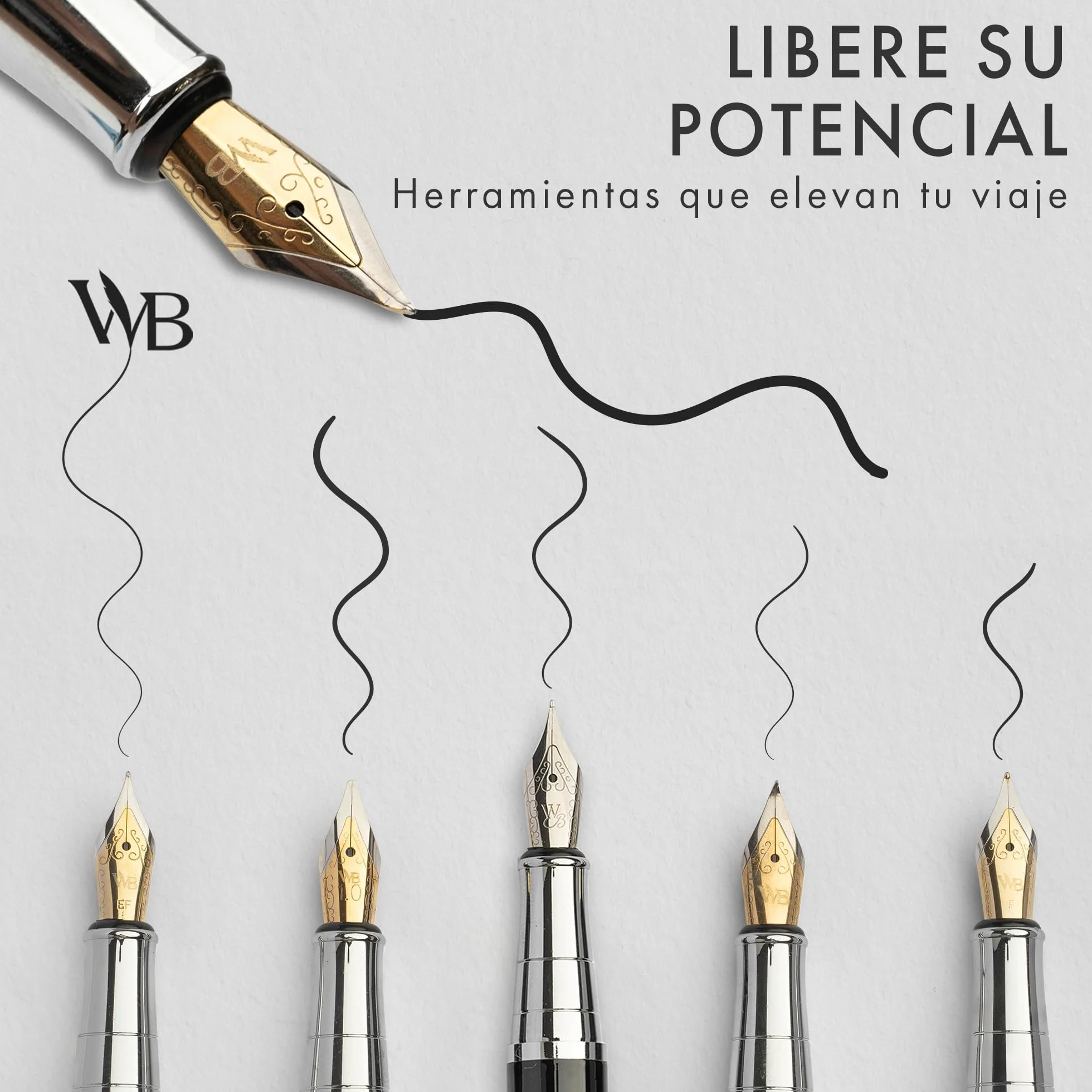 Wordsworth & Black Juego de regalo de pluma estilográfica, incluye botella de tinta y 6 cartuchos, 1 convertidor, 4 puntas de repuesto, paquete premium, diario, caligrafía