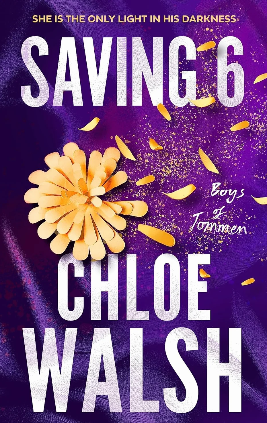 Foblit ltd Colección de libros Boys of Tommen Serie 5 de Chloe Walsh (Encuadernación 13, Conservación de 13, Ahorro 6, Redención 6 y Doma 7)