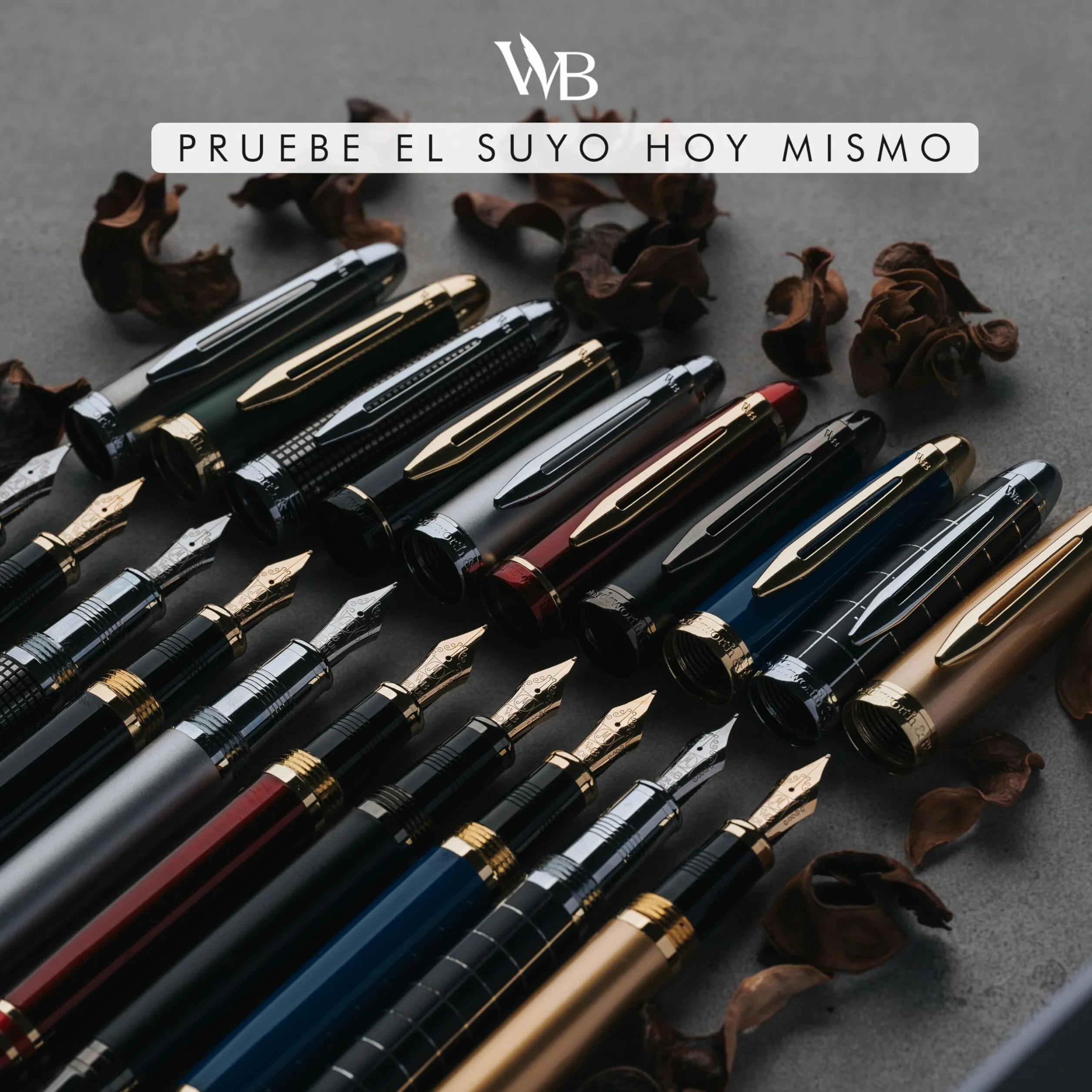 Wordsworth & Black Juego de pluma estilográfica Majesti (oro negro) de punta media con estuche de regalo, 24 cartuchos de tinta, convertidor de recarga de tinta, estuche de regalo, caligrafía