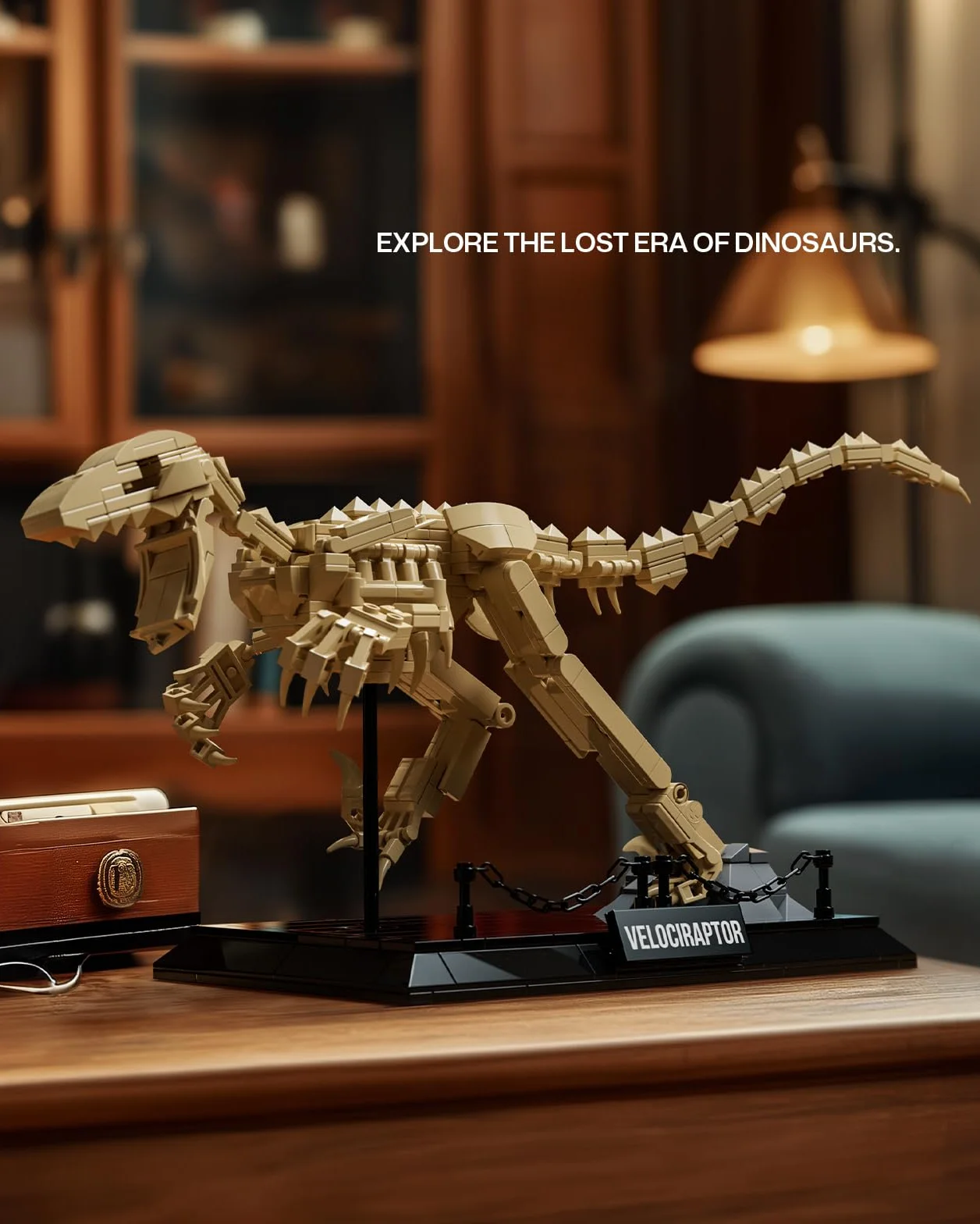 Nifeliz Set de Modelo Fósil de Velociraptor, Kit de Construcción de Esqueleto de Dinosaurio con Base para Adultos, Regalo de Colección para Amantes de los Dinosaurios (498 Piezas, NF10357)