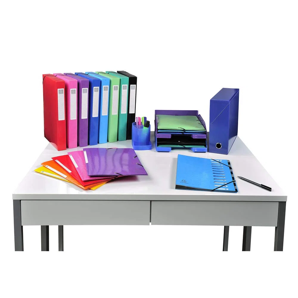 Exacompta - 55821E - Caja de 25 subcarpetas elásticas Iderama - Capacidad Maxi 3 bolsillos con tapeta - en cartulina plastificada brillante 425 g/m2 - tamaño 24 x 32 cm para formato A4 - color negro