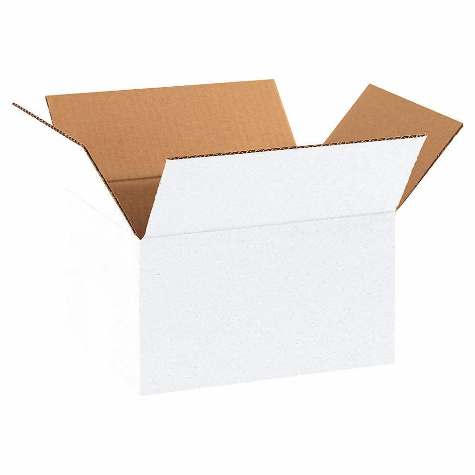 Cajas de cartón blancas de 40 x 40 x 40 cm para Mudanza y Almacenamiento, Cajas de cartón ondulado Ligeras y Resistentes, Juego de 40 unidades, Fabricadas en Italia